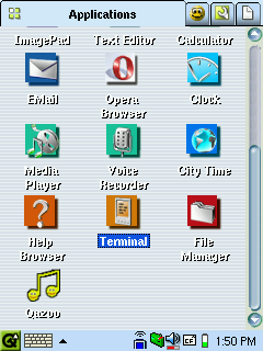 screenshot of qazoo on the desktop